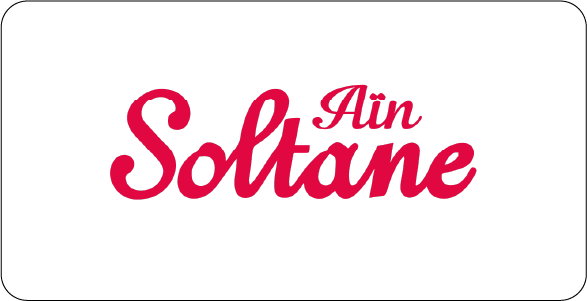 Logo Ain Soltane